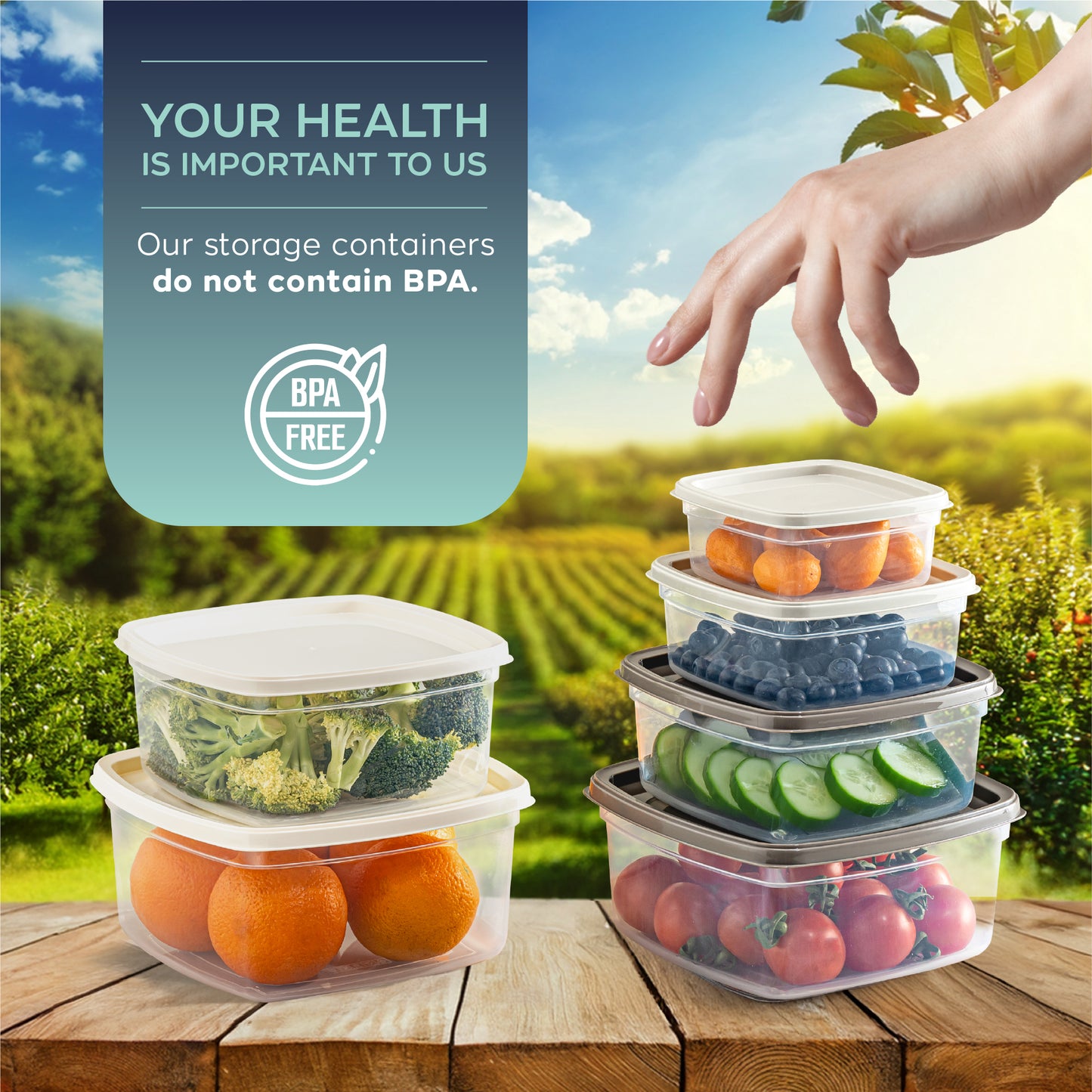 EasyBox 8 Parçalı Kare Gıda Saklama Kabı Seti (2 x 4 Parçalı Set) 275 ml ila 1350 ml