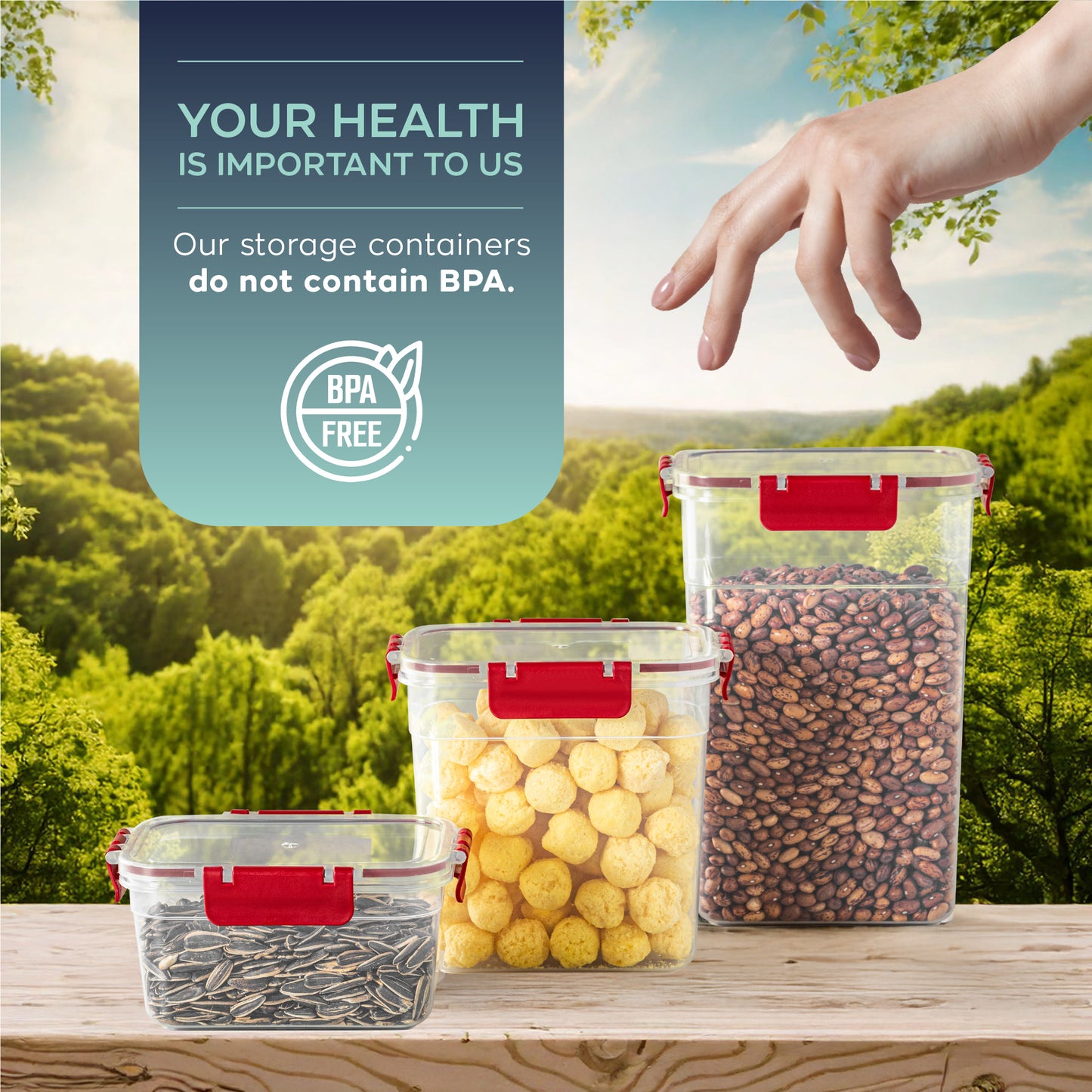 Clara Deep Box 12 Piece Food Storage Container Set (4 × 1100 ml, 4 × 2200 ml, 4 × 3400 ml)