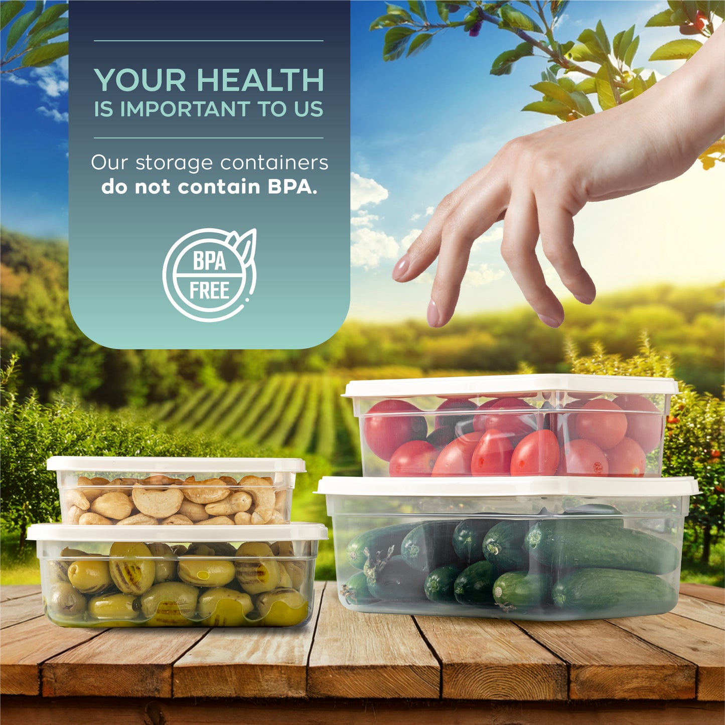 EasyBox 8-delige rechthoekige voedselcontainerset (2 x 4-delige set) 250 ml tot 1200 ml